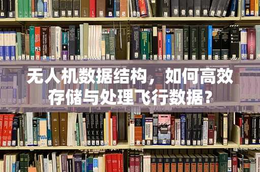 无人机数据结构，如何高效存储与处理飞行数据？