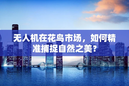 无人机在花鸟市场，如何精准捕捉自然之美？