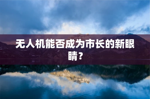 无人机能否成为市长的新眼睛？