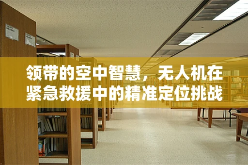 领带的空中智慧，无人机在紧急救援中的精准定位挑战