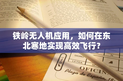 铁岭无人机应用，如何在东北寒地实现高效飞行？