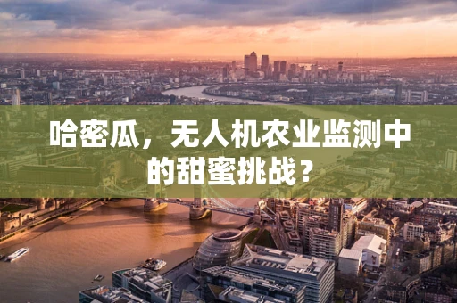 哈密瓜，无人机农业监测中的甜蜜挑战？