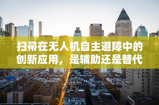 扫帚在无人机自主避障中的创新应用，是辅助还是替代？