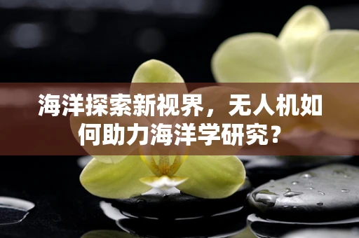 海洋探索新视界，无人机如何助力海洋学研究？