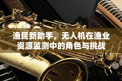 渔民新助手，无人机在渔业资源监测中的角色与挑战