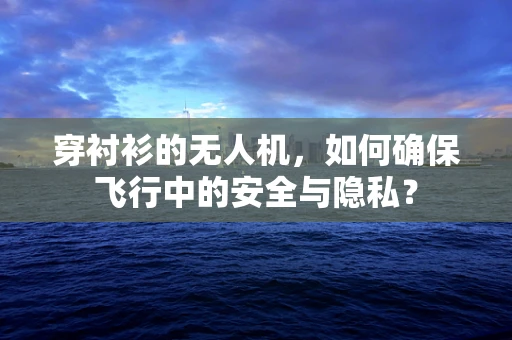穿衬衫的无人机，如何确保飞行中的安全与隐私？