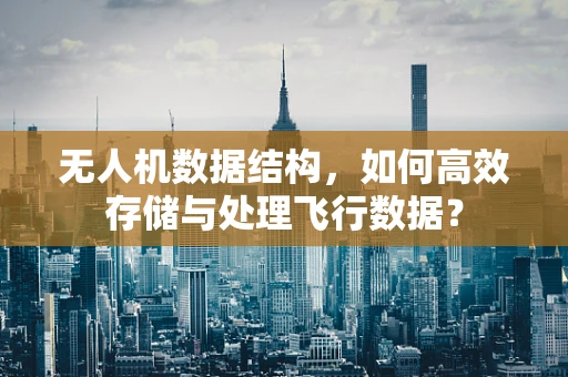 无人机数据结构，如何高效存储与处理飞行数据？