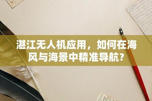 湛江无人机应用，如何在海风与海景中精准导航？