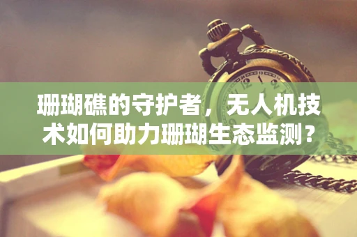 珊瑚礁的守护者，无人机技术如何助力珊瑚生态监测？