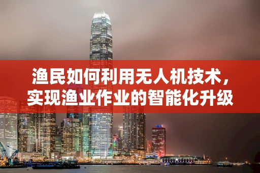 渔民如何利用无人机技术，实现渔业作业的智能化升级？