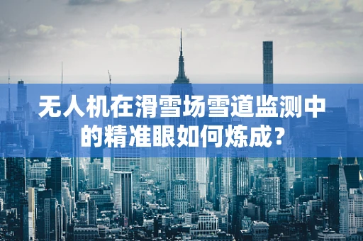 无人机在滑雪场雪道监测中的精准眼如何炼成？