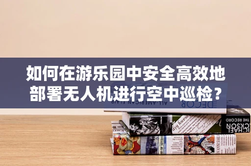 如何在游乐园中安全高效地部署无人机进行空中巡检？