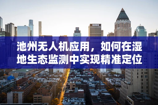 池州无人机应用，如何在湿地生态监测中实现精准定位？