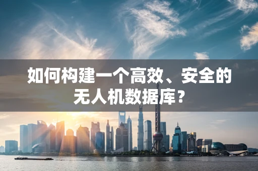 如何构建一个高效、安全的无人机数据库？