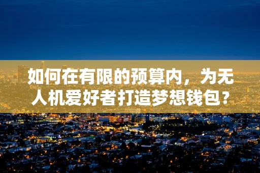 如何在有限的预算内，为无人机爱好者打造梦想钱包？