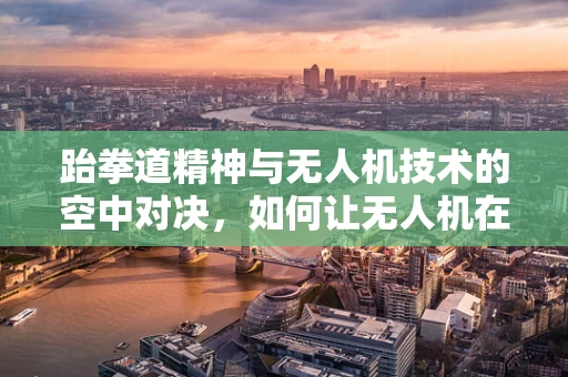 跆拳道精神与无人机技术的空中对决，如何让无人机在复杂环境中保持精准飞行？