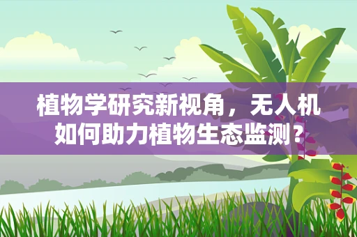 植物学研究新视角，无人机如何助力植物生态监测？