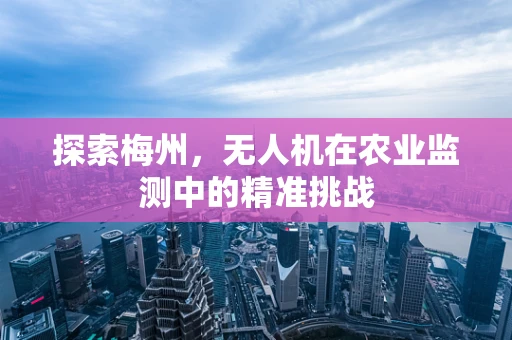 探索梅州，无人机在农业监测中的精准挑战