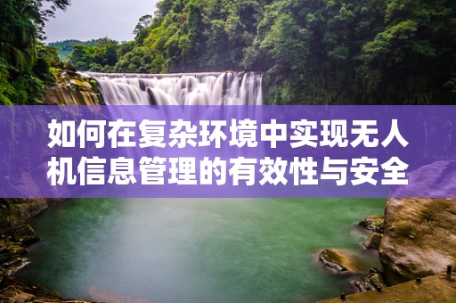 如何在复杂环境中实现无人机信息管理的有效性与安全性？