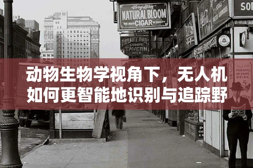 动物生物学视角下，无人机如何更智能地识别与追踪野生动物？