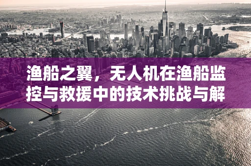 渔船之翼，无人机在渔船监控与救援中的技术挑战与解决方案