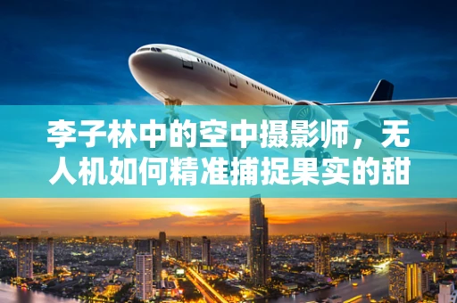 李子林中的空中摄影师，无人机如何精准捕捉果实的甜蜜瞬间？