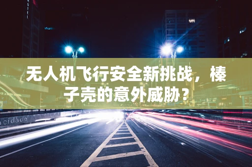 无人机飞行安全新挑战，榛子壳的意外威胁？