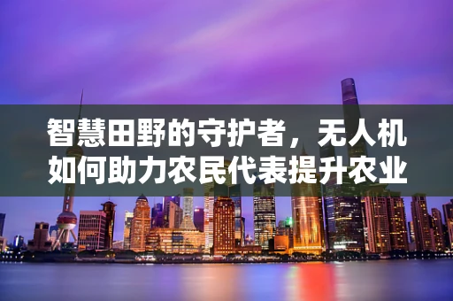 智慧田野的守护者，无人机如何助力农民代表提升农业生产效率？