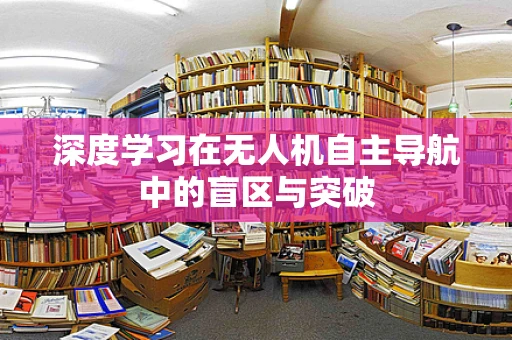 深度学习在无人机自主导航中的盲区与突破