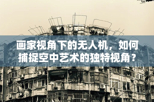 画家视角下的无人机，如何捕捉空中艺术的独特视角？