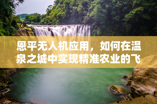 恩平无人机应用，如何在温泉之城中实现精准农业的飞跃？