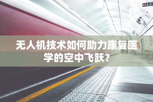 无人机技术如何助力康复医学的空中飞跃？