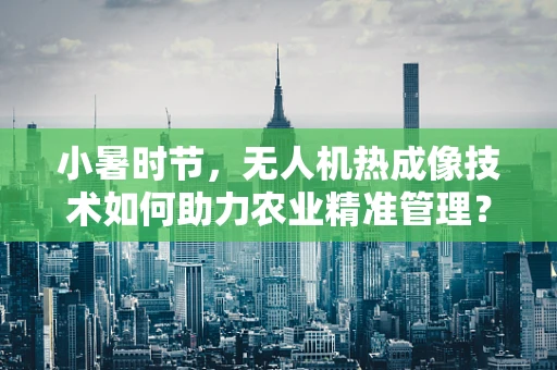 小暑时节，无人机热成像技术如何助力农业精准管理？