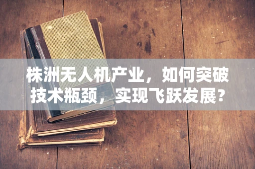 株洲无人机产业，如何突破技术瓶颈，实现飞跃发展？