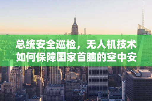总统安全巡检，无人机技术如何保障国家首脑的空中安全？