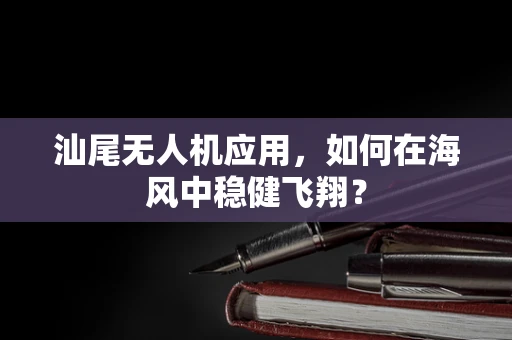 汕尾无人机应用，如何在海风中稳健飞翔？