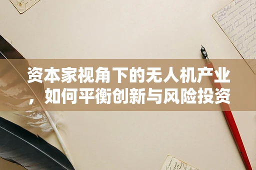 资本家视角下的无人机产业，如何平衡创新与风险投资？