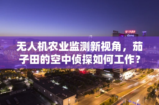 无人机农业监测新视角，茄子田的空中侦探如何工作？