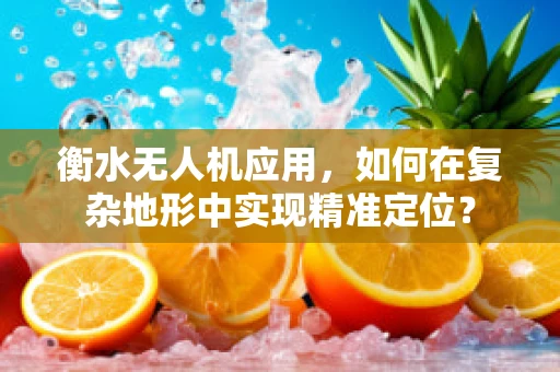 衡水无人机应用，如何在复杂地形中实现精准定位？
