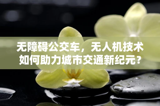 无障碍公交车，无人机技术如何助力城市交通新纪元？