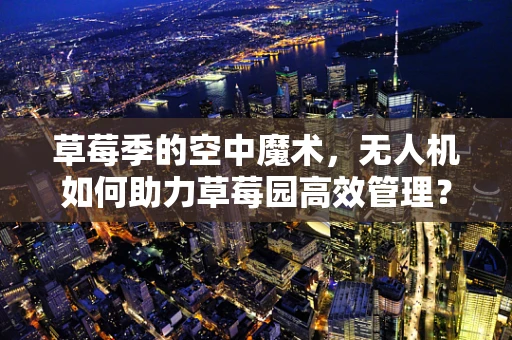 草莓季的空中魔术，无人机如何助力草莓园高效管理？
