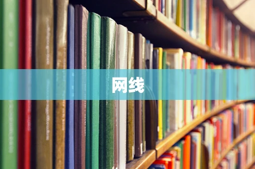 网线
