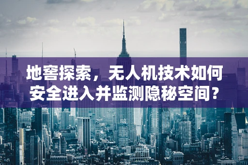 地窖探索，无人机技术如何安全进入并监测隐秘空间？