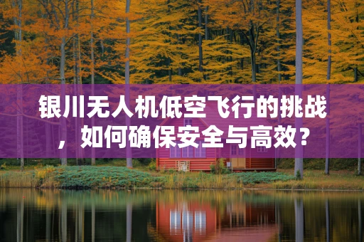 银川无人机低空飞行的挑战，如何确保安全与高效？