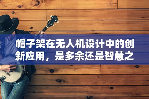 帽子架在无人机设计中的创新应用，是多余还是智慧之选？