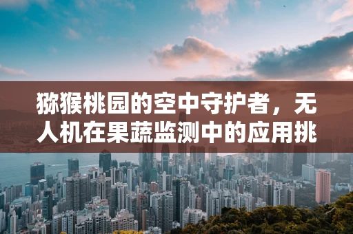 猕猴桃园的空中守护者，无人机在果蔬监测中的应用挑战