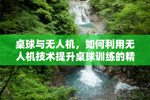 桌球与无人机，如何利用无人机技术提升桌球训练的精准度？