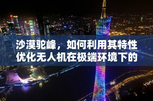 沙漠驼峰，如何利用其特性优化无人机在极端环境下的导航与续航？