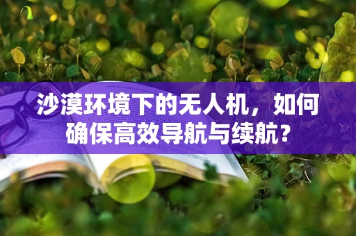 沙漠环境下的无人机，如何确保高效导航与续航？