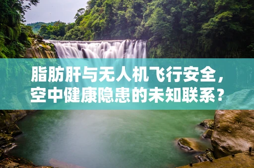 脂肪肝与无人机飞行安全，空中健康隐患的未知联系？